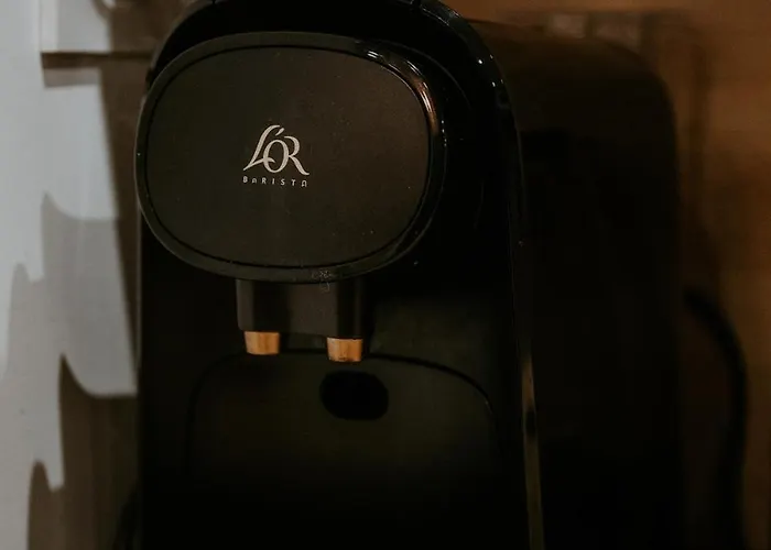 Orion - By Prim0 C0nciergerie * Clermont-Ferrand